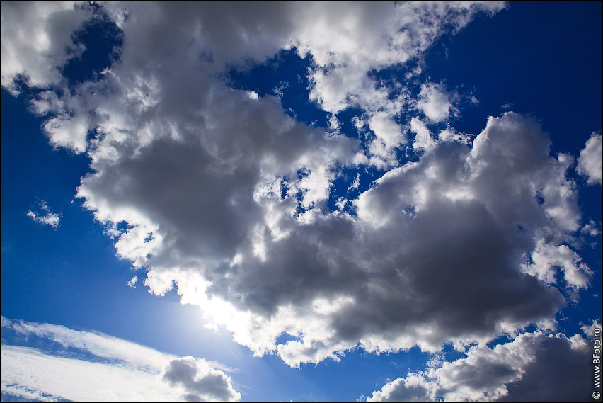 bf722caff3e144bf184ba936ff363d3c