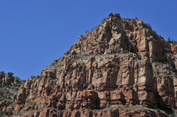 d3bd9b48c2352e153404a9ff55dfa9c5