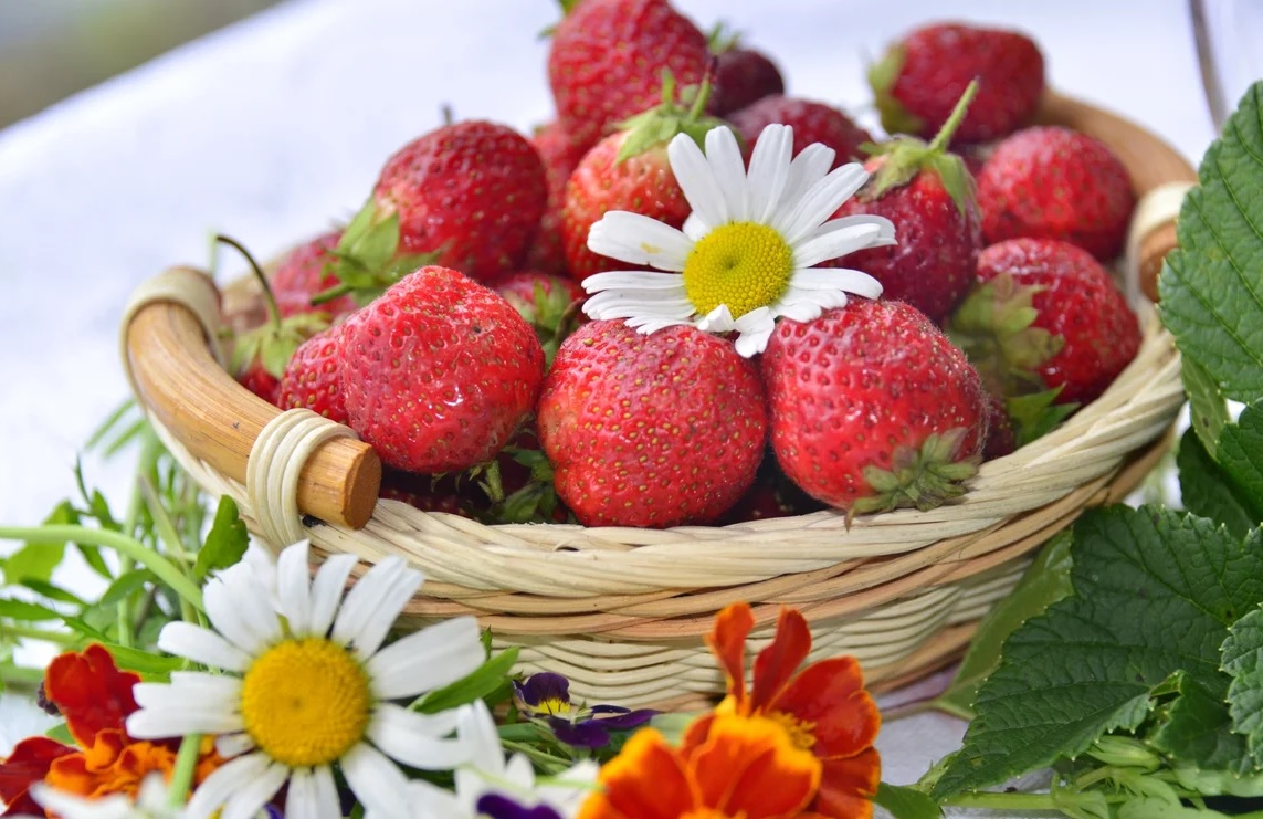 fe5794a7b018cceaec29073622208ba9